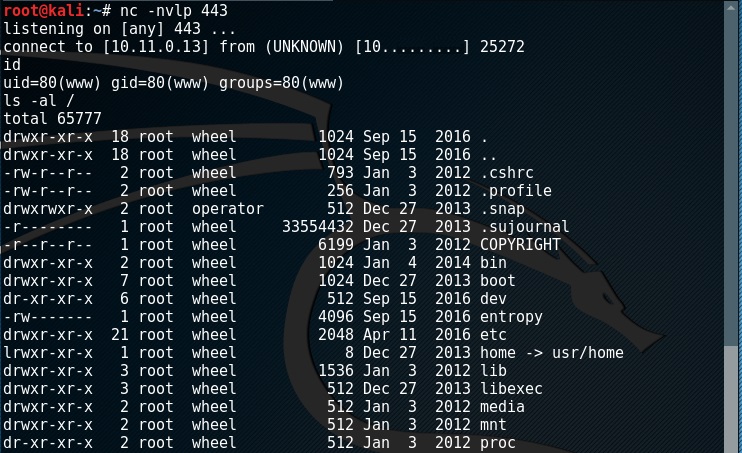 Netcat on FreeBSD